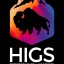 Higs Performancy Academy