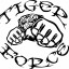 Tiger Force MMA