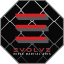 Evolve Mixed Martial Arts