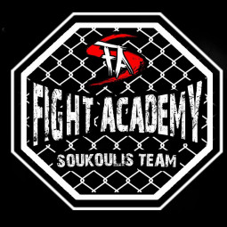 Fighting academy. Академия ММА логотип. Академия единоборств эмблема. Логотип для Академии боевых искусств. Fight Academy.