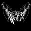 BlackWolf MMA