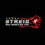 Streib MMA Wrestling Gym