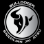 Bulldozer Brazilian Jiu Jitsu