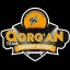 QORGAN_TEAM