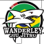Wanderley Jiu Jitsu