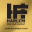 Harlem Free Fight Academy