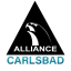 Alliance Jiu Jitsu Carlsbad